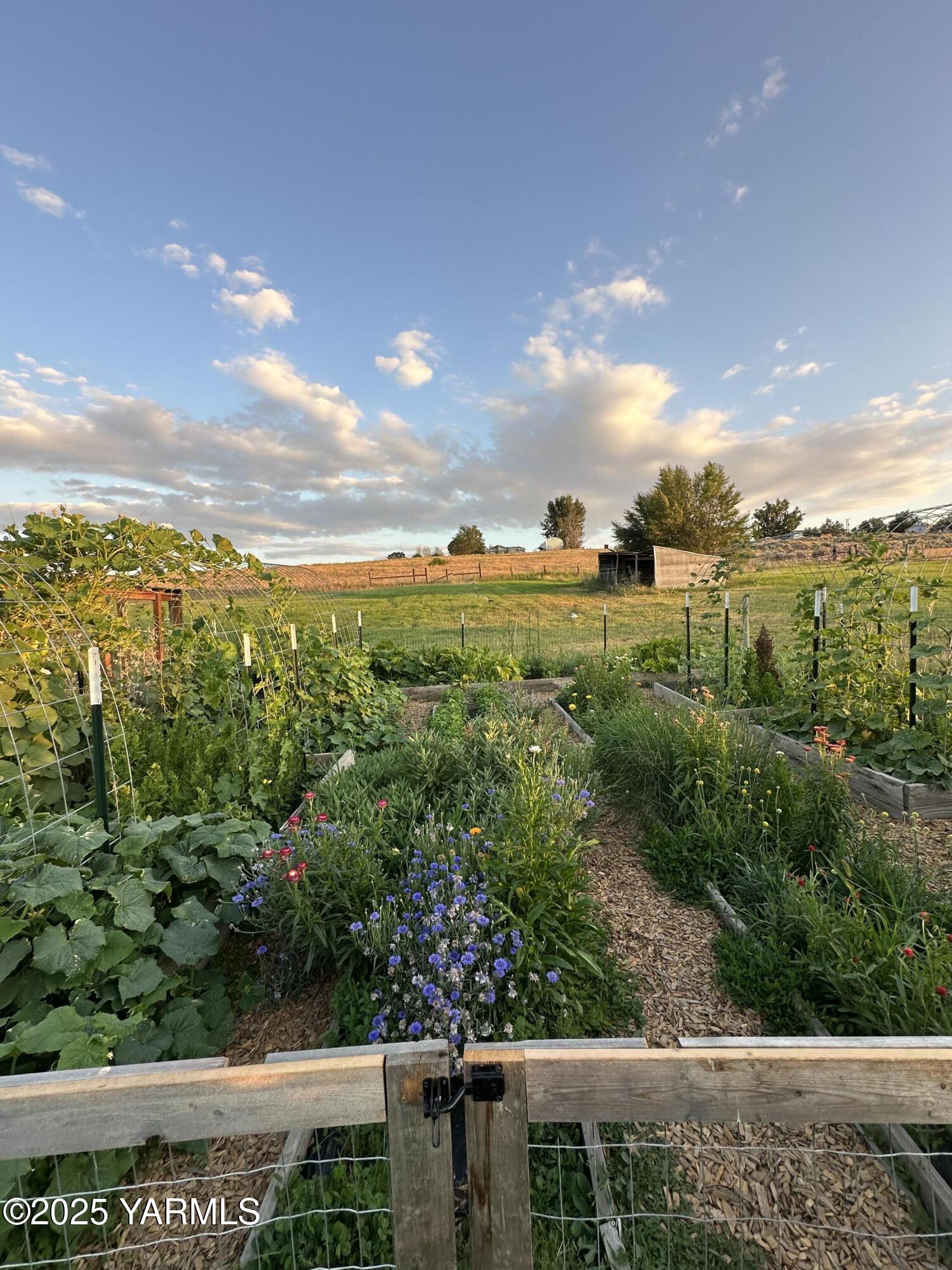 240 Knoll Road Yakima, WA 98908 - Photo 45 of 47 Garden Space