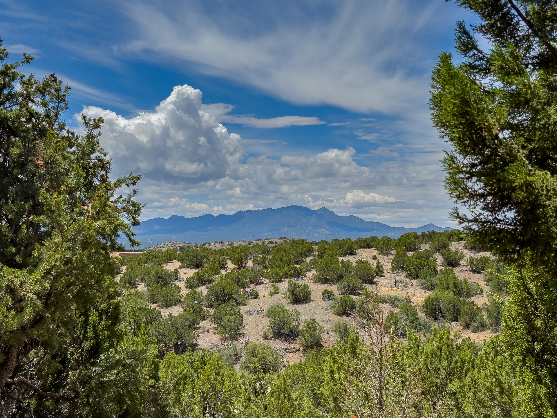 171 Silver Hills Road Santa Fe, NM 87508 - Photo 37 of 53