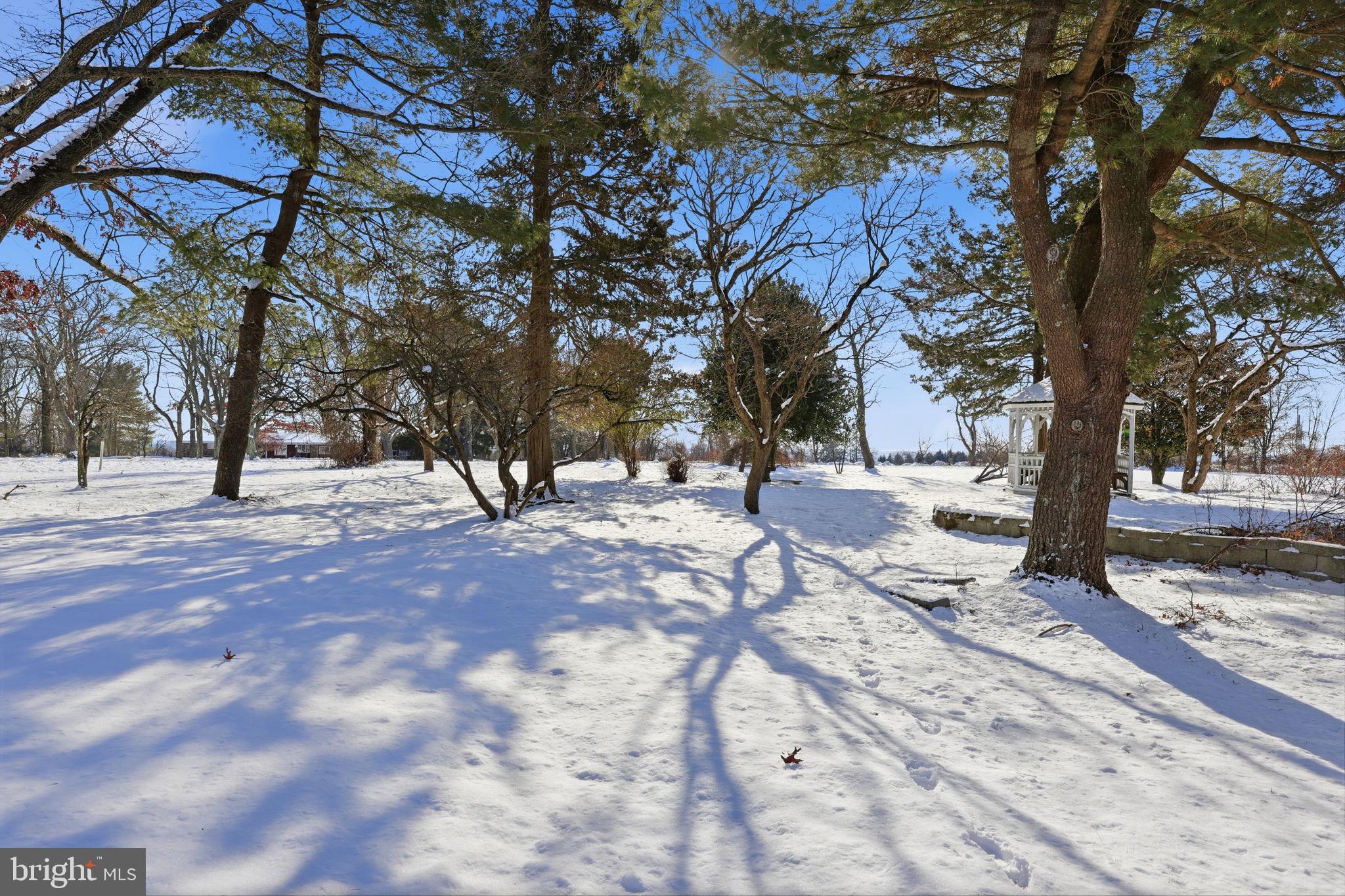 24 Old Limekiln Road Doylestown, PA 18901 - Photo 33 of 33 a view of road and trees