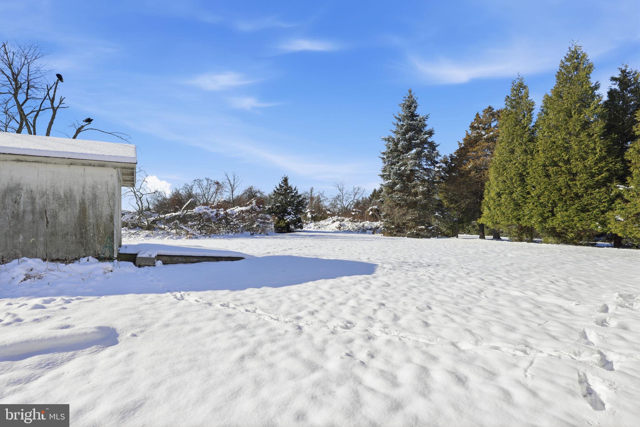 24 Old Limekiln Road Doylestown, PA 18901 - Photo 4 of 33 a view of outdoor space yard and street