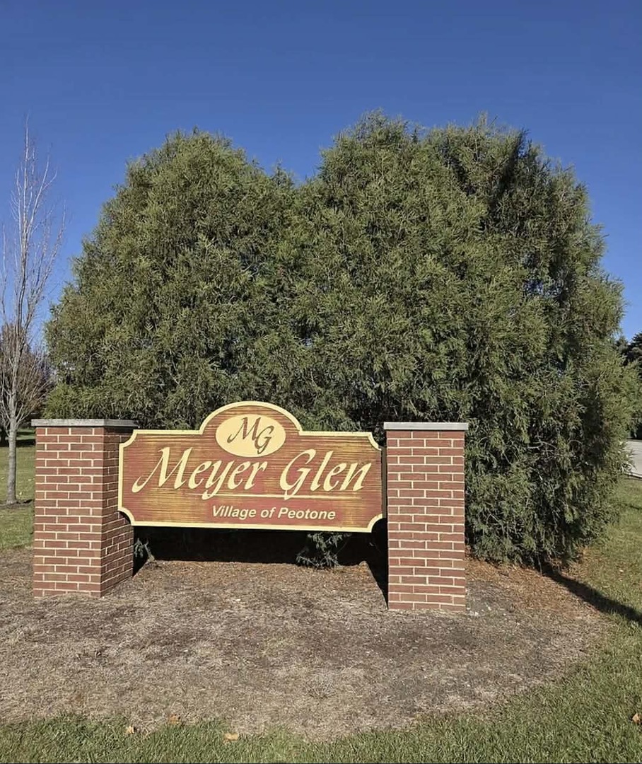 114 Hickory Street Peotone, IL 60468 - Photo 3 of 7