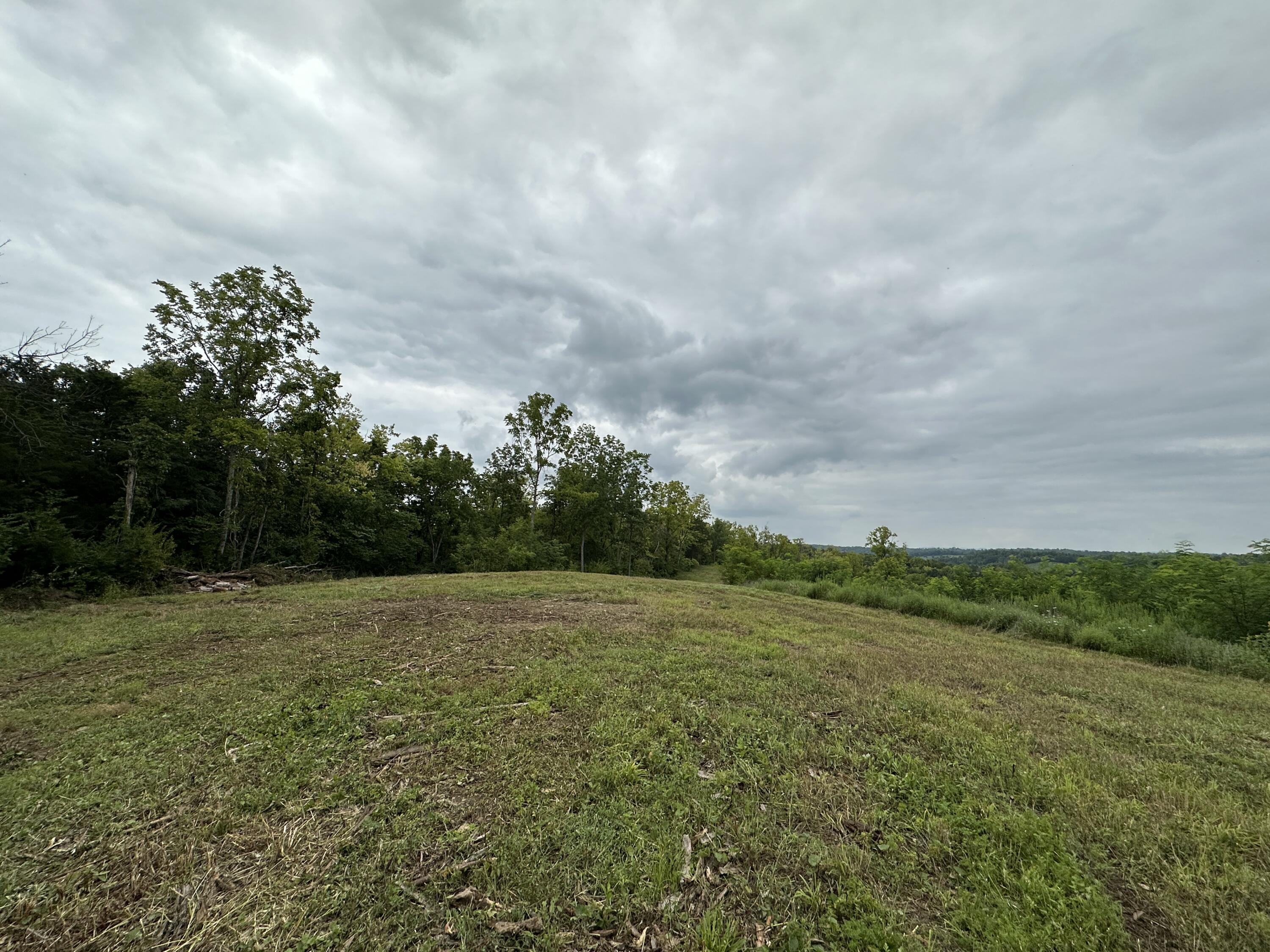 297 Ceder Road Owingsville, KY 40360 - Photo 21 of 26 Field