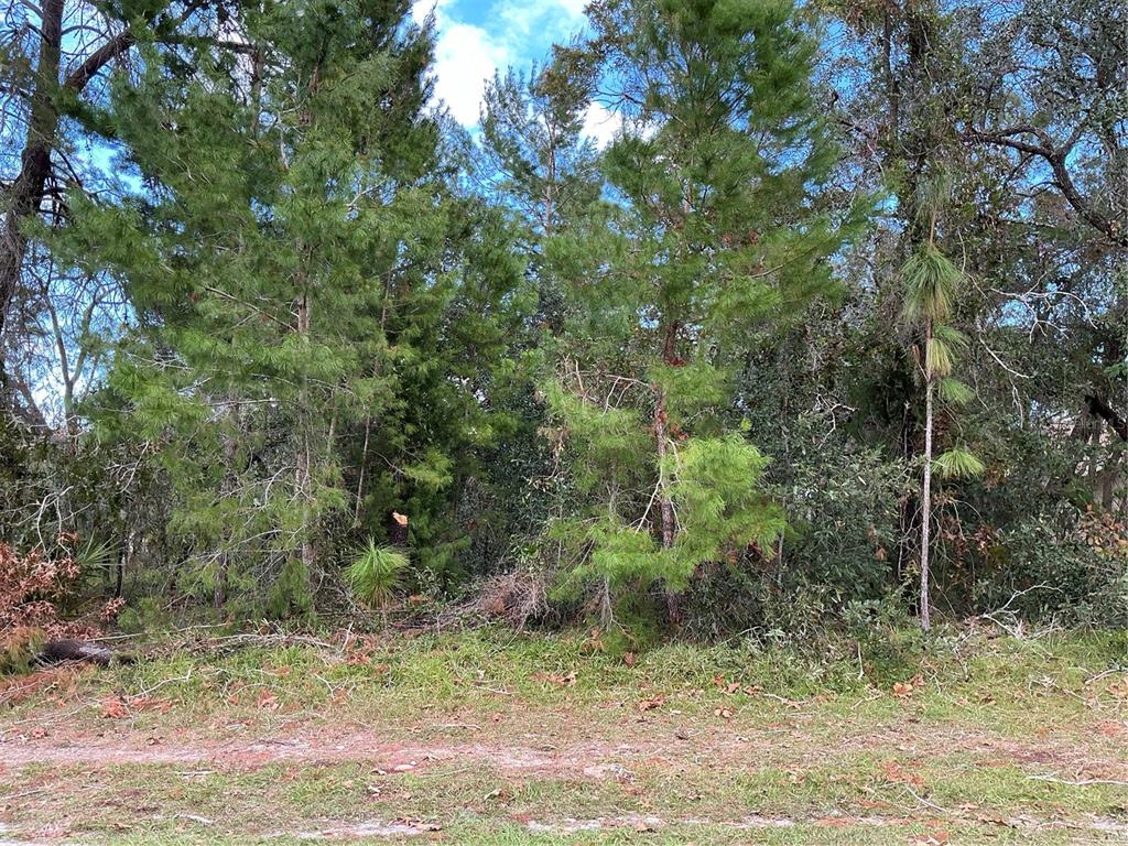 11136 Liberto Road Weeki Wachee, FL 34614 - Photo 1 of 1 Gallery Image 1
