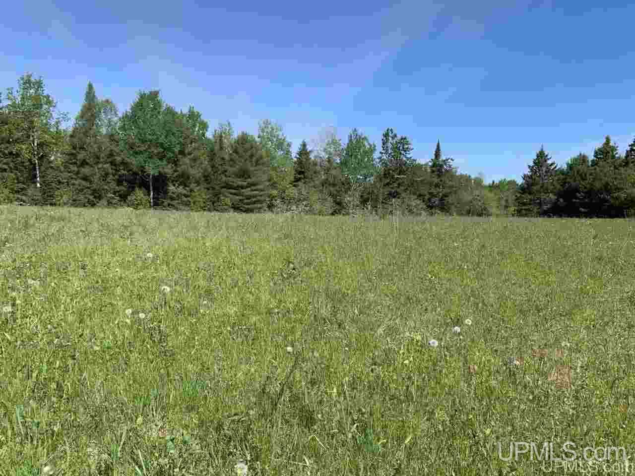 Tbd Sturgeon Road Baraga, MI 49908 - Photo 4 of 9 Gallery Image 4
