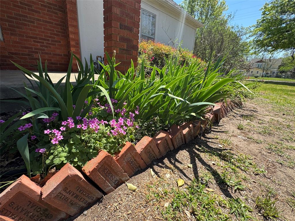 206 Ritchey Street Gainesville, TX 76240 - Photo 35 of 36 a view of a garden with flowers and flowers