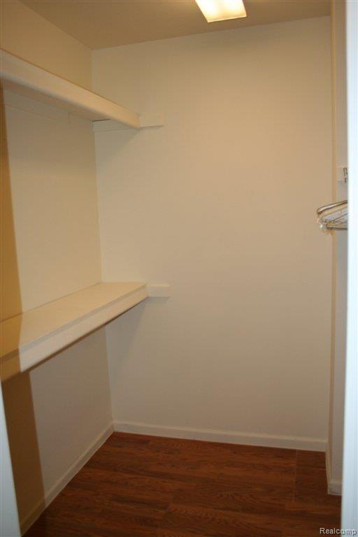 22055 River Ridge Trail, Unit 42 Farmington, MI 48335 - Photo 20 of 25 Master walk-in closet!