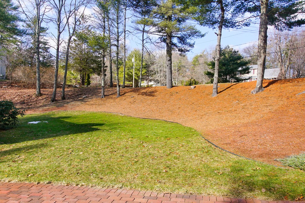 11 Longmeadow Road Norfolk, MA 02056 - Photo 23 of 24 Gallery Image 23