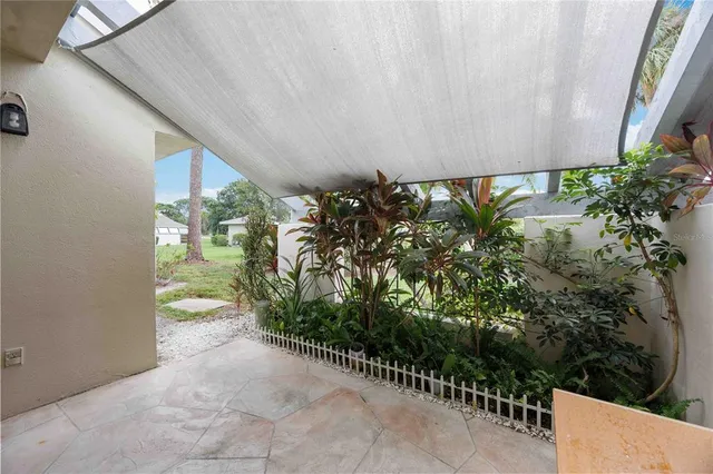 a view of a yard with plants and a bench under a large tree