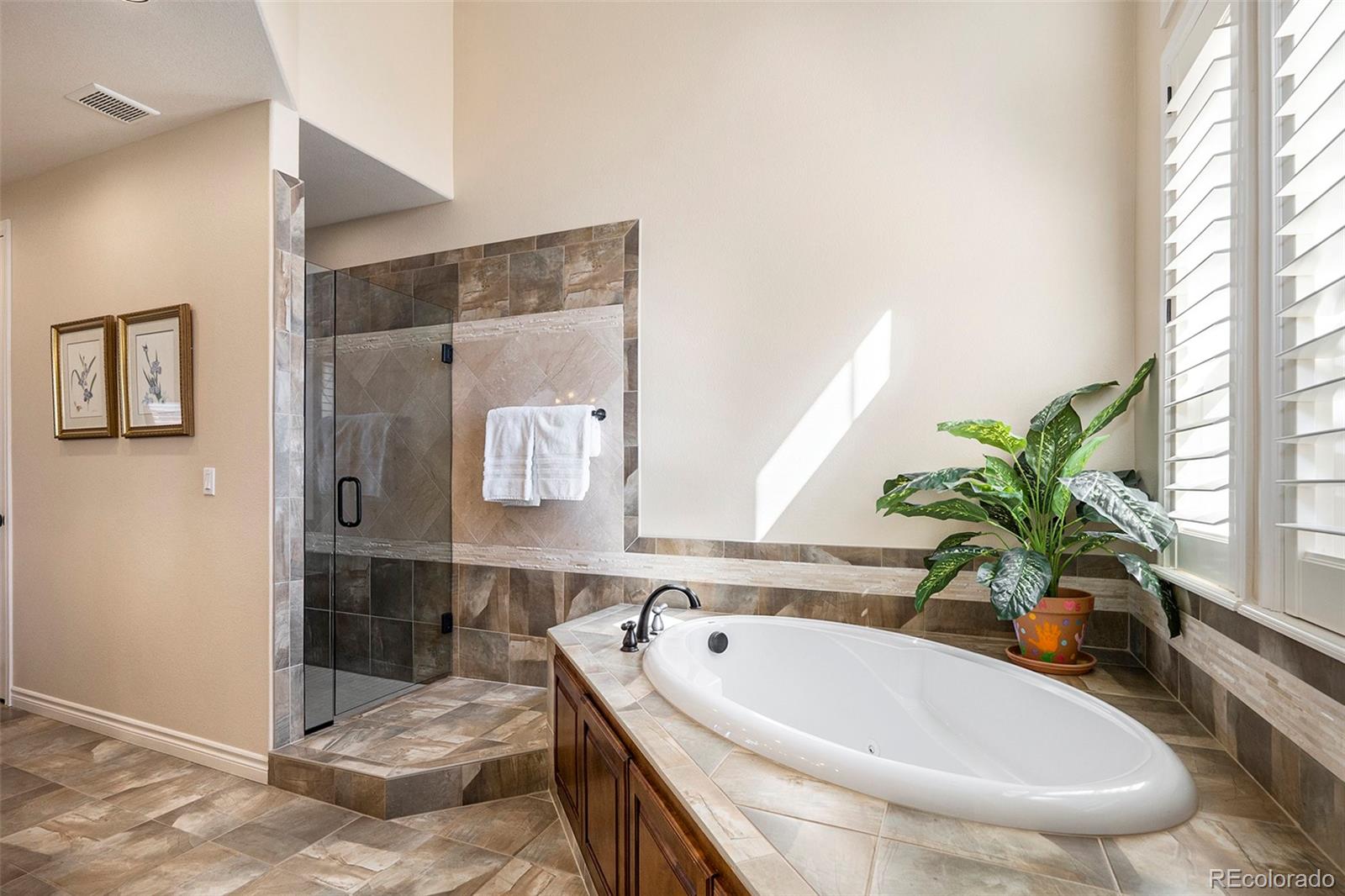 9269 Viaggio Way Highlands Ranch, CO 80126 - Photo 13 of 27 Gallery Image 13