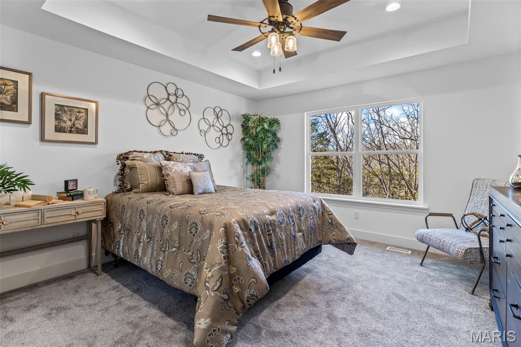 1665 Scenic Drive Festus, MO 63028 - Photo 33 of 64