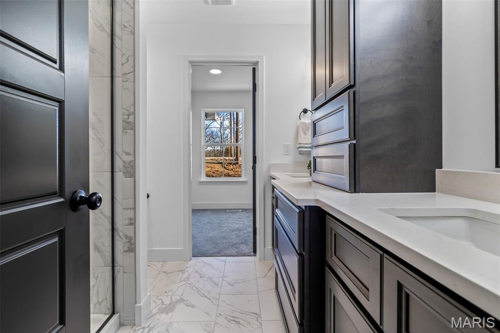 1665 Scenic Drive Festus, MO 63028 - Photo 37 of 64