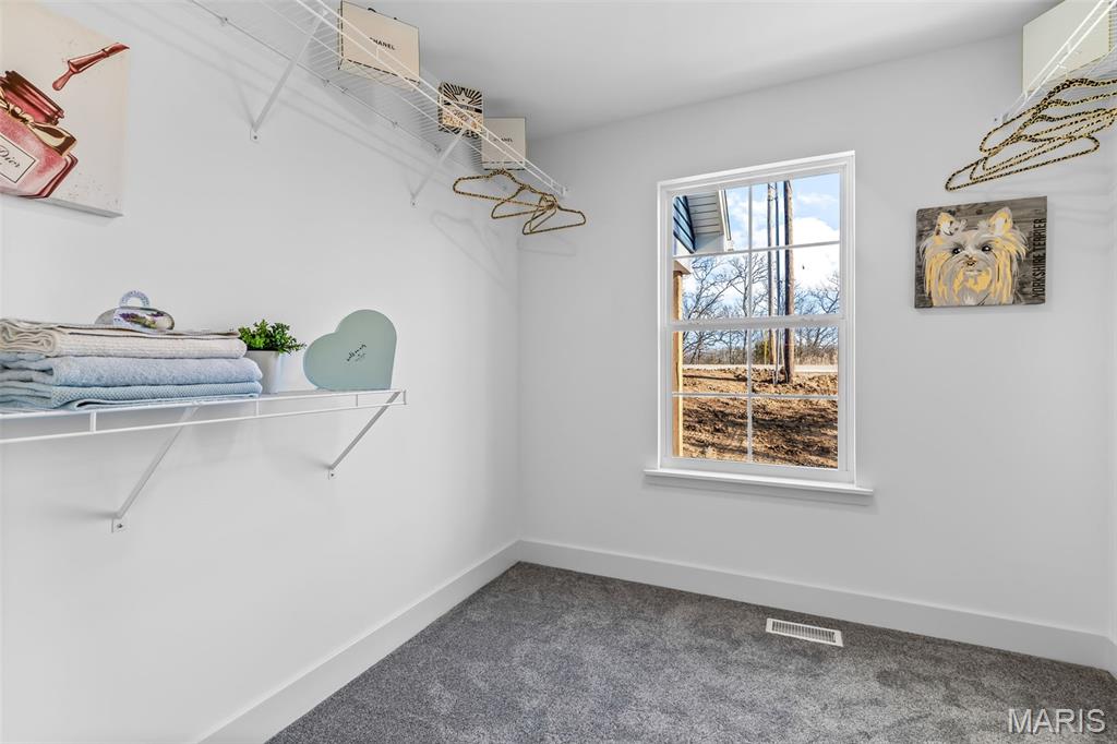 1665 Scenic Drive Festus, MO 63028 - Photo 44 of 64