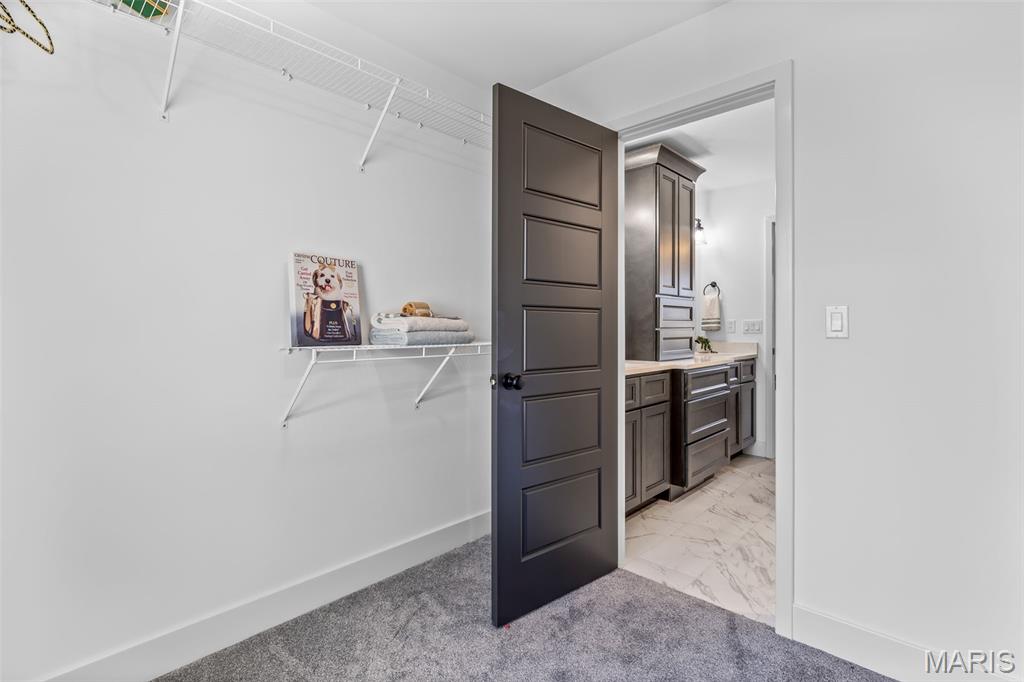 1665 Scenic Drive Festus, MO 63028 - Photo 45 of 64