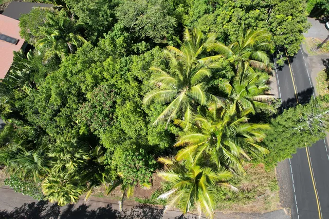 an aerial view of residential house with outdoor space and trees all around
