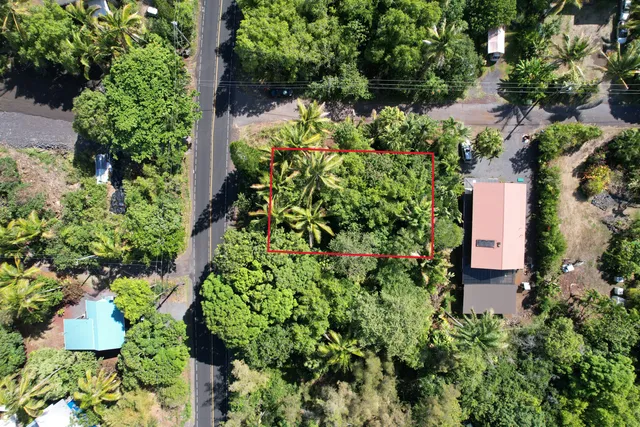 an aerial view of a house with a yard and garden
