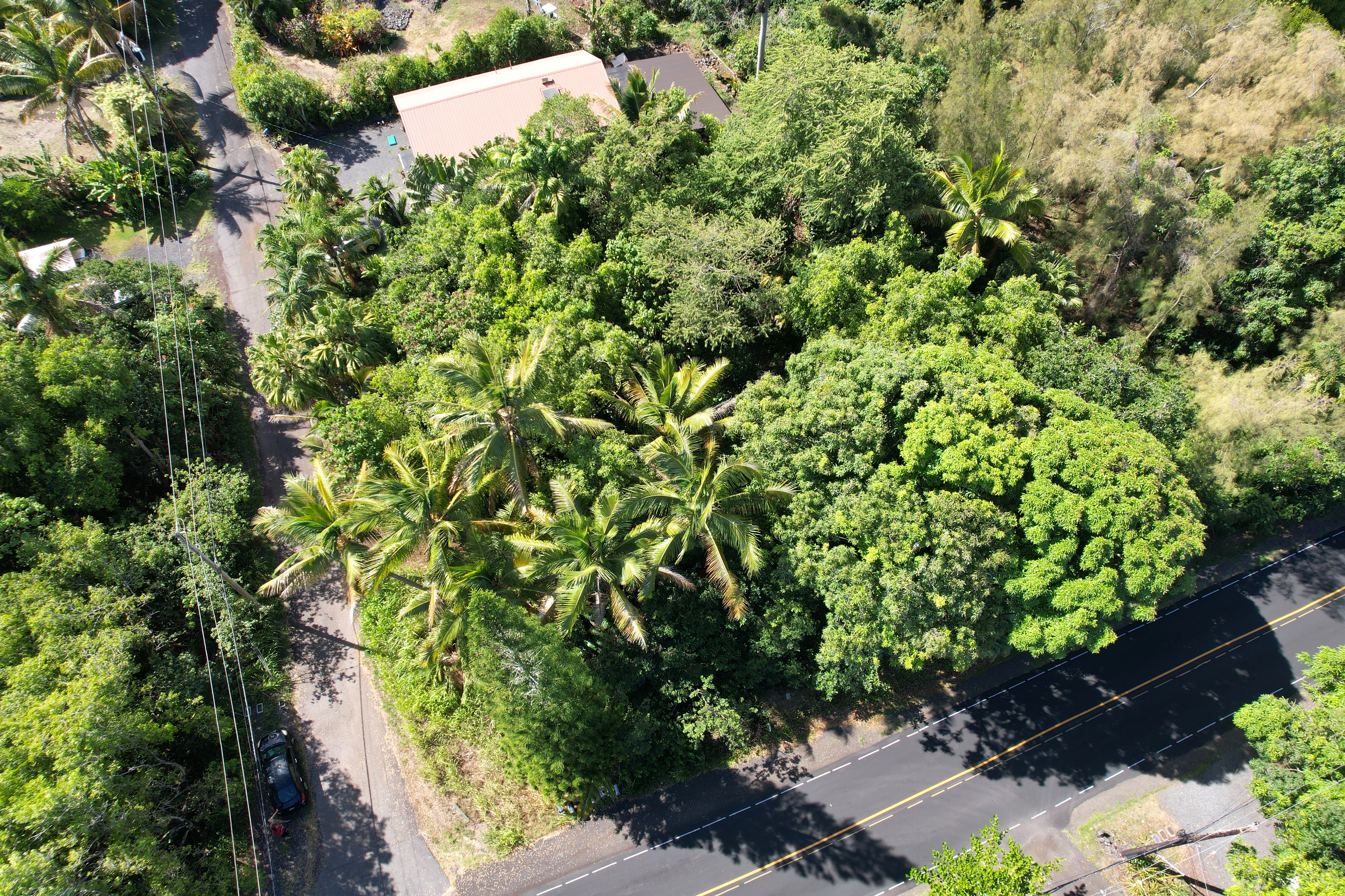 7 Kalapana Kapoho Beach Road Pahoa, HI 96778 - Photo 4 of 12 a view of a garden