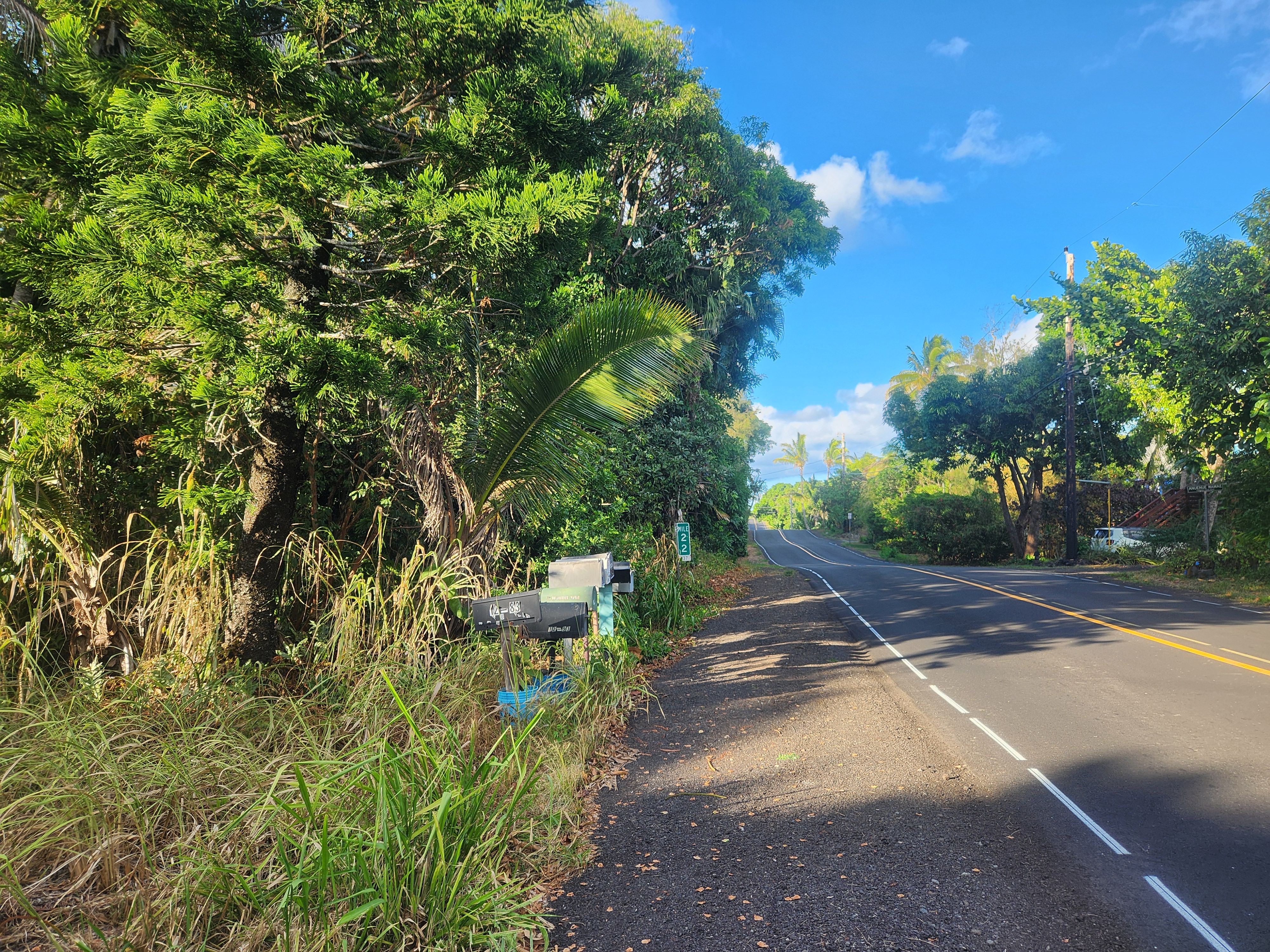 7 Kalapana Kapoho Beach Road Pahoa, HI 96778 - Photo 5 of 12 a view of yard