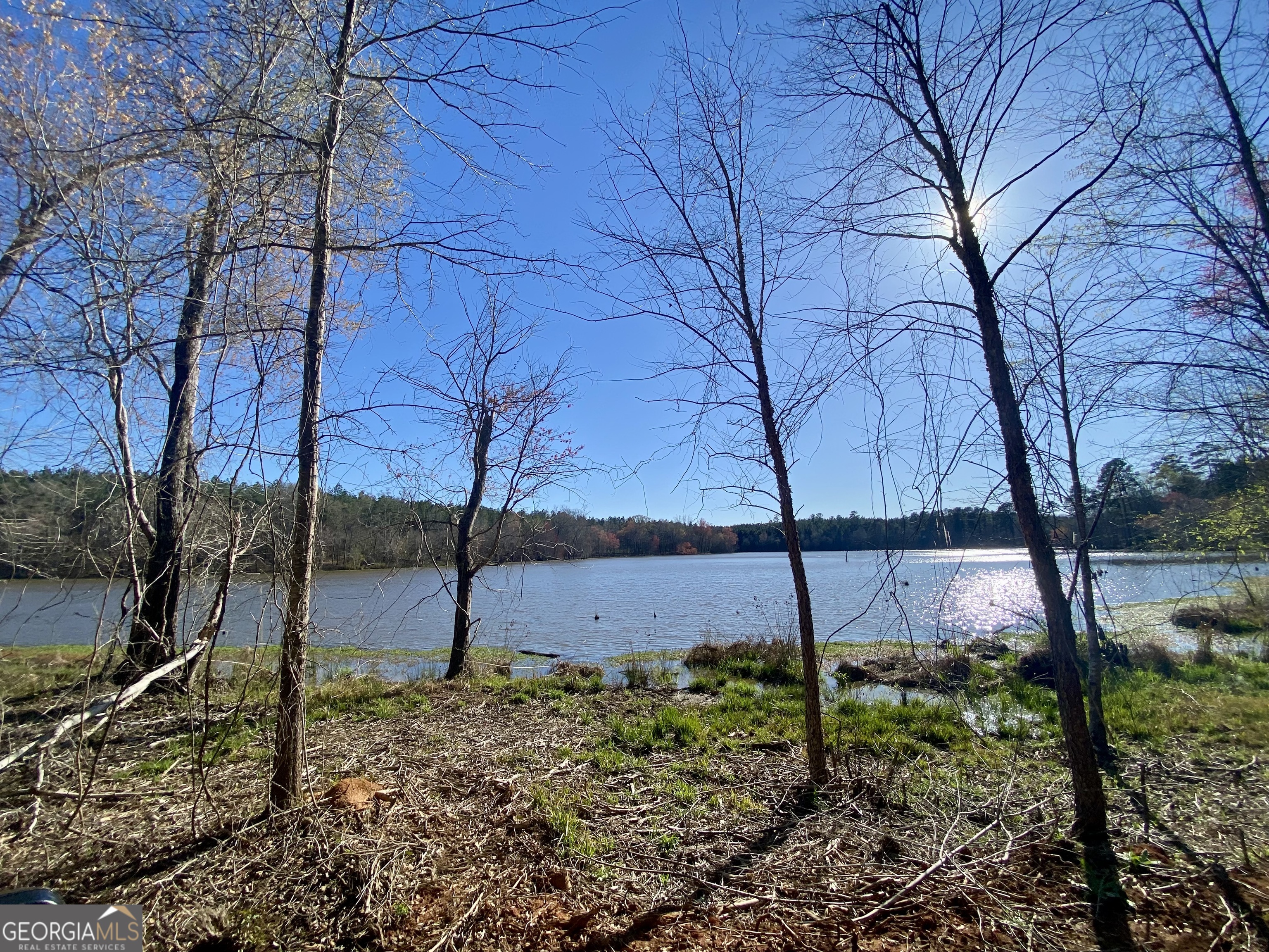 3312 Hunts Chapel Road Sparta, GA 31087 - Photo 102 of 147