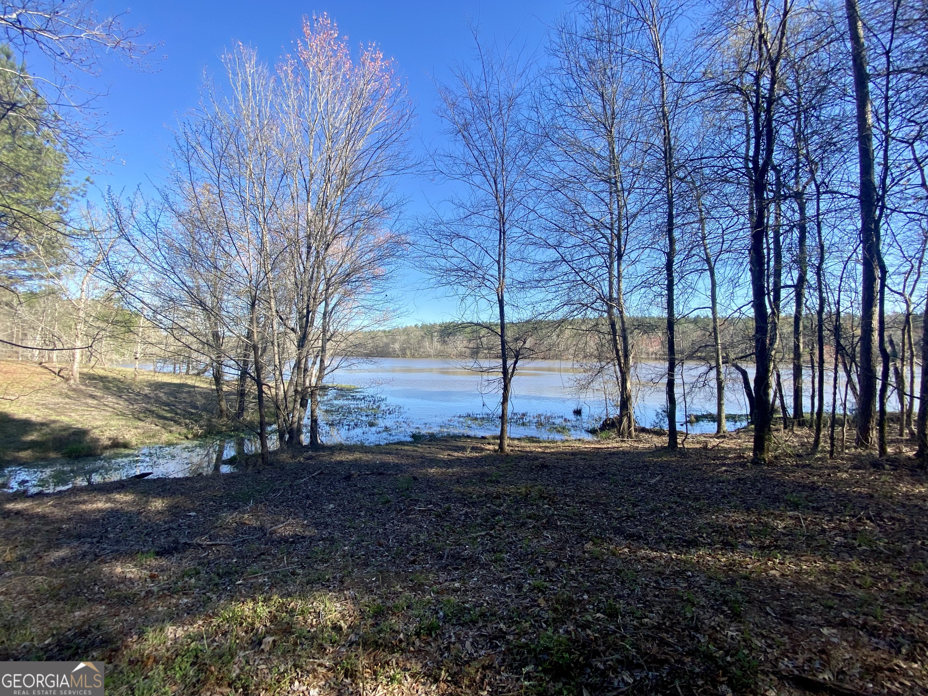 3312 Hunts Chapel Road Sparta, GA 31087 - Photo 104 of 147