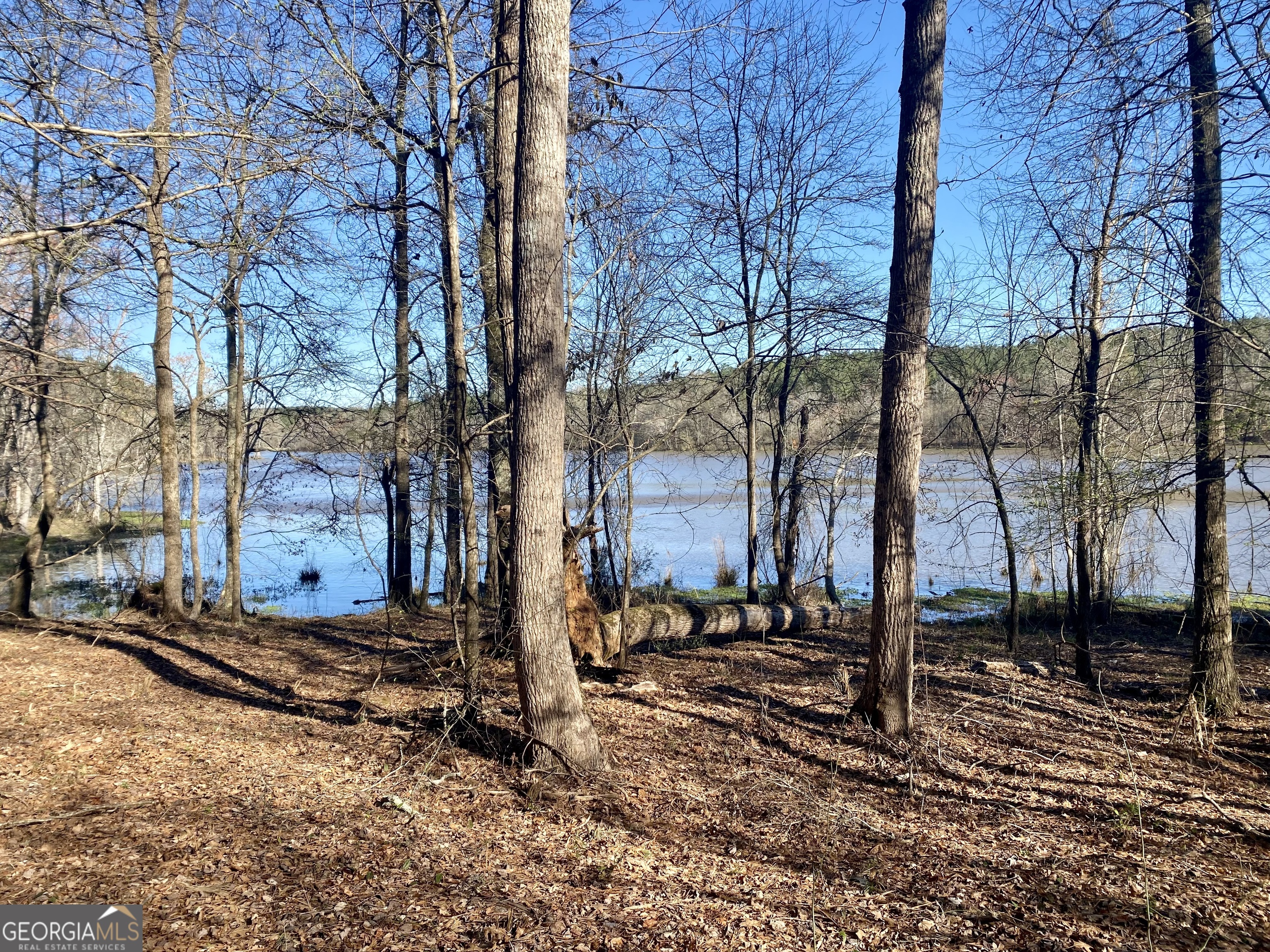 3312 Hunts Chapel Road Sparta, GA 31087 - Photo 105 of 147