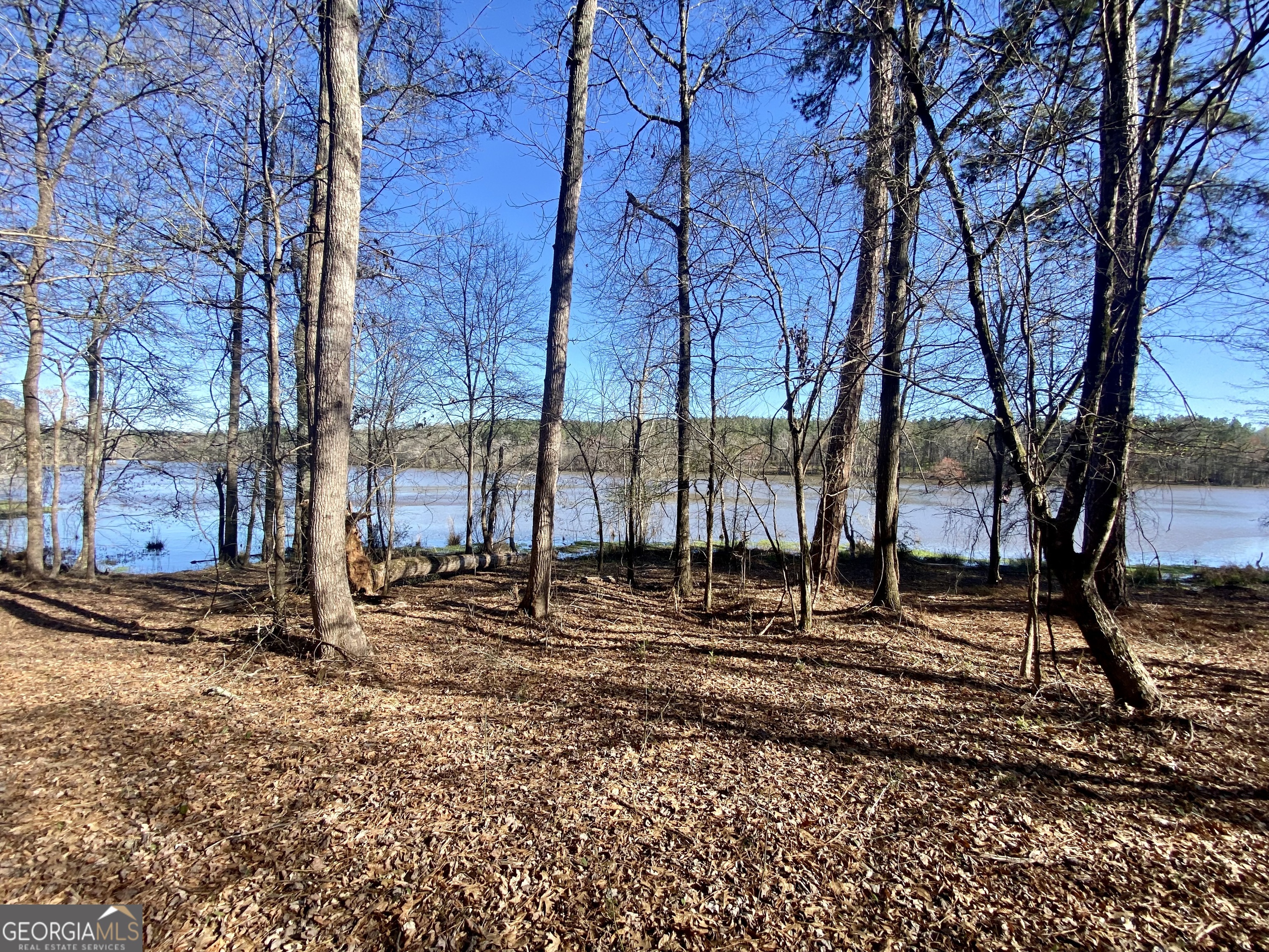 3312 Hunts Chapel Road Sparta, GA 31087 - Photo 107 of 147