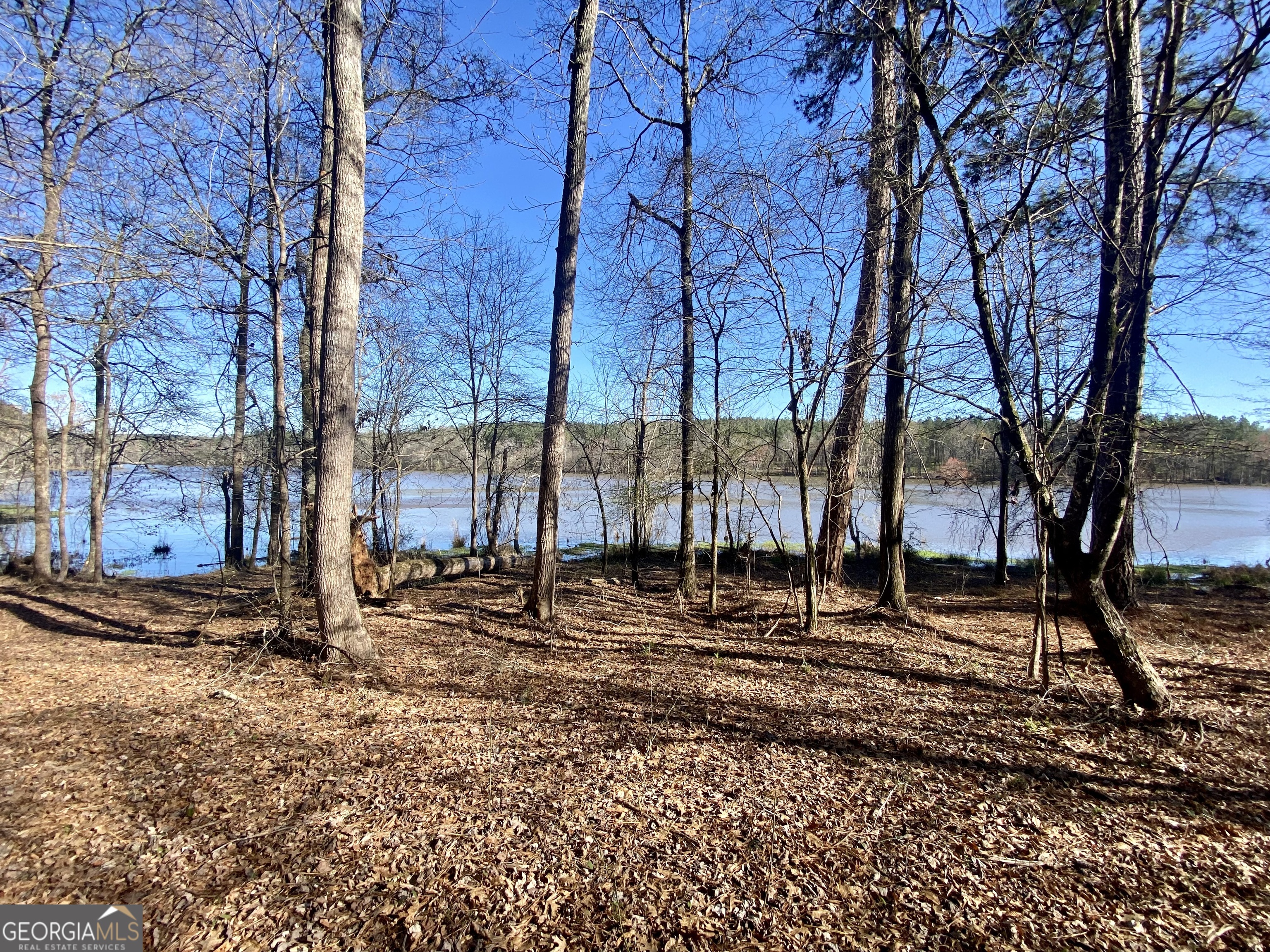 3312 Hunts Chapel Road Sparta, GA 31087 - Photo 110 of 147