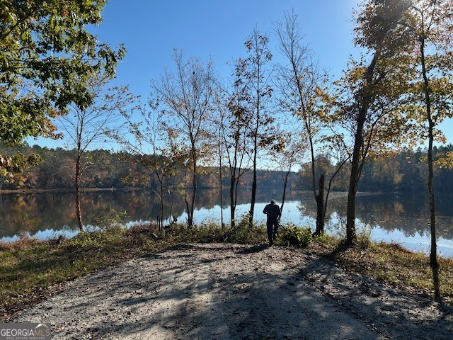 3312 Hunts Chapel Road Sparta, GA 31087 - Photo 11 of 147