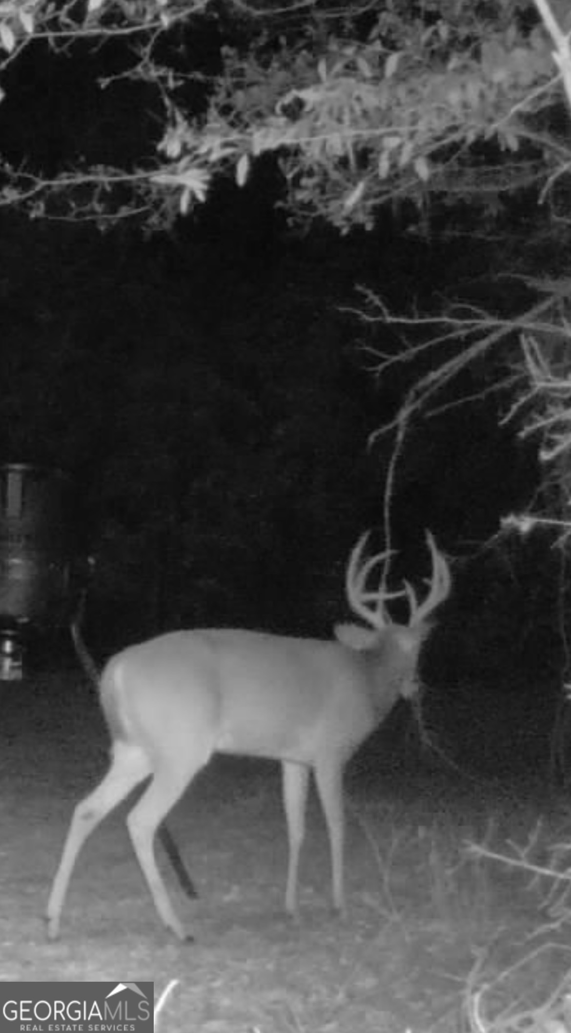 3312 Hunts Chapel Road Sparta, GA 31087 - Photo 117 of 147