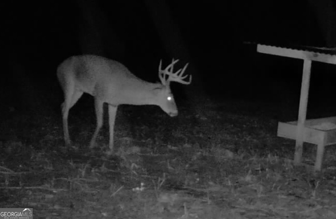 3312 Hunts Chapel Road Sparta, GA 31087 - Photo 119 of 147