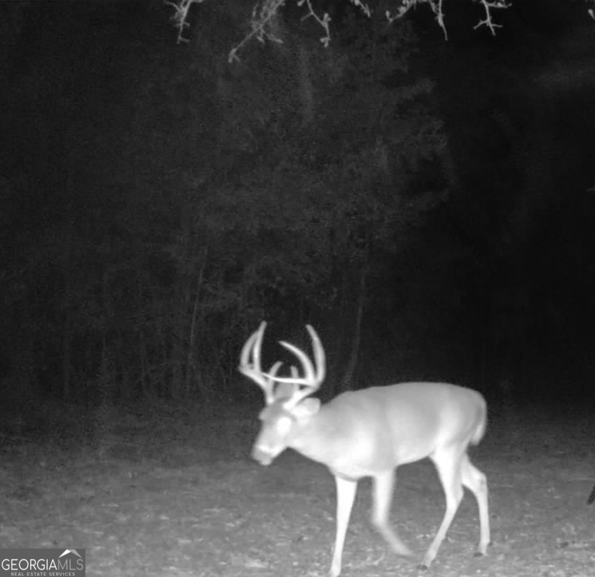 3312 Hunts Chapel Road Sparta, GA 31087 - Photo 121 of 147