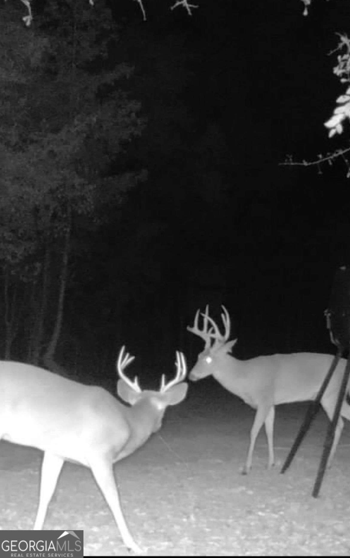 3312 Hunts Chapel Road Sparta, GA 31087 - Photo 123 of 147