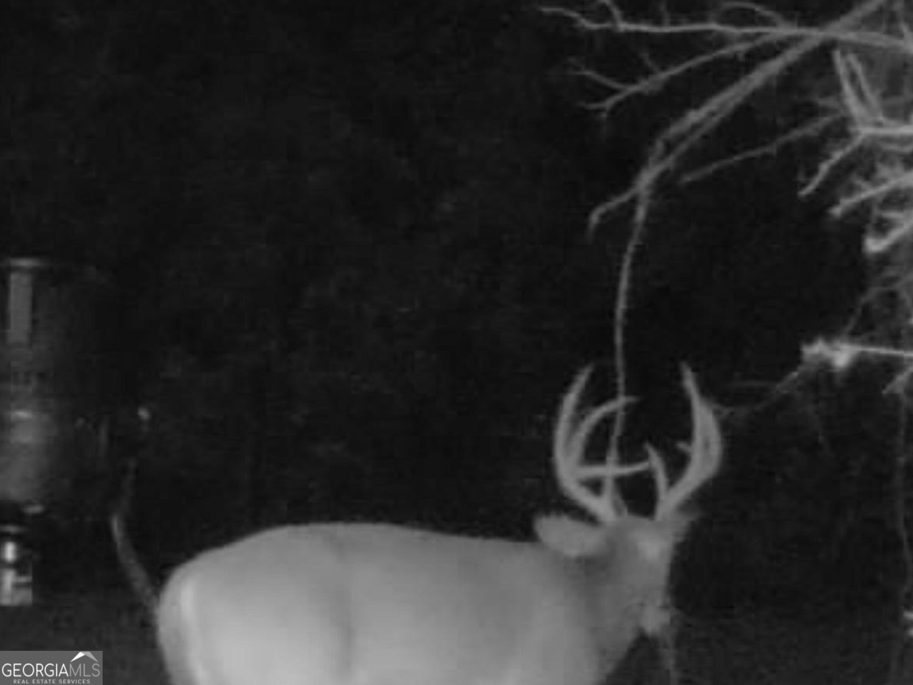 3312 Hunts Chapel Road Sparta, GA 31087 - Photo 125 of 147