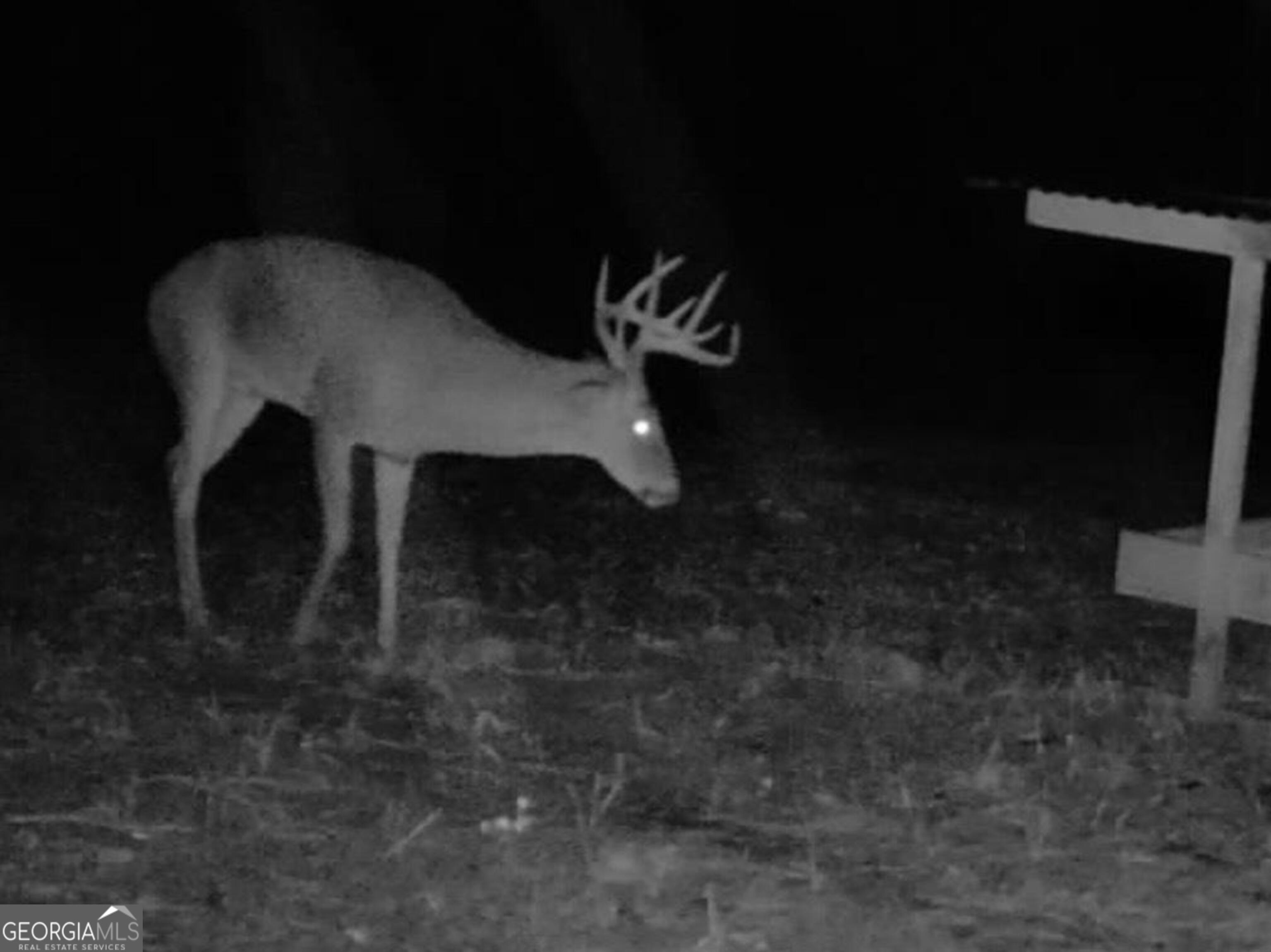 3312 Hunts Chapel Road Sparta, GA 31087 - Photo 127 of 147