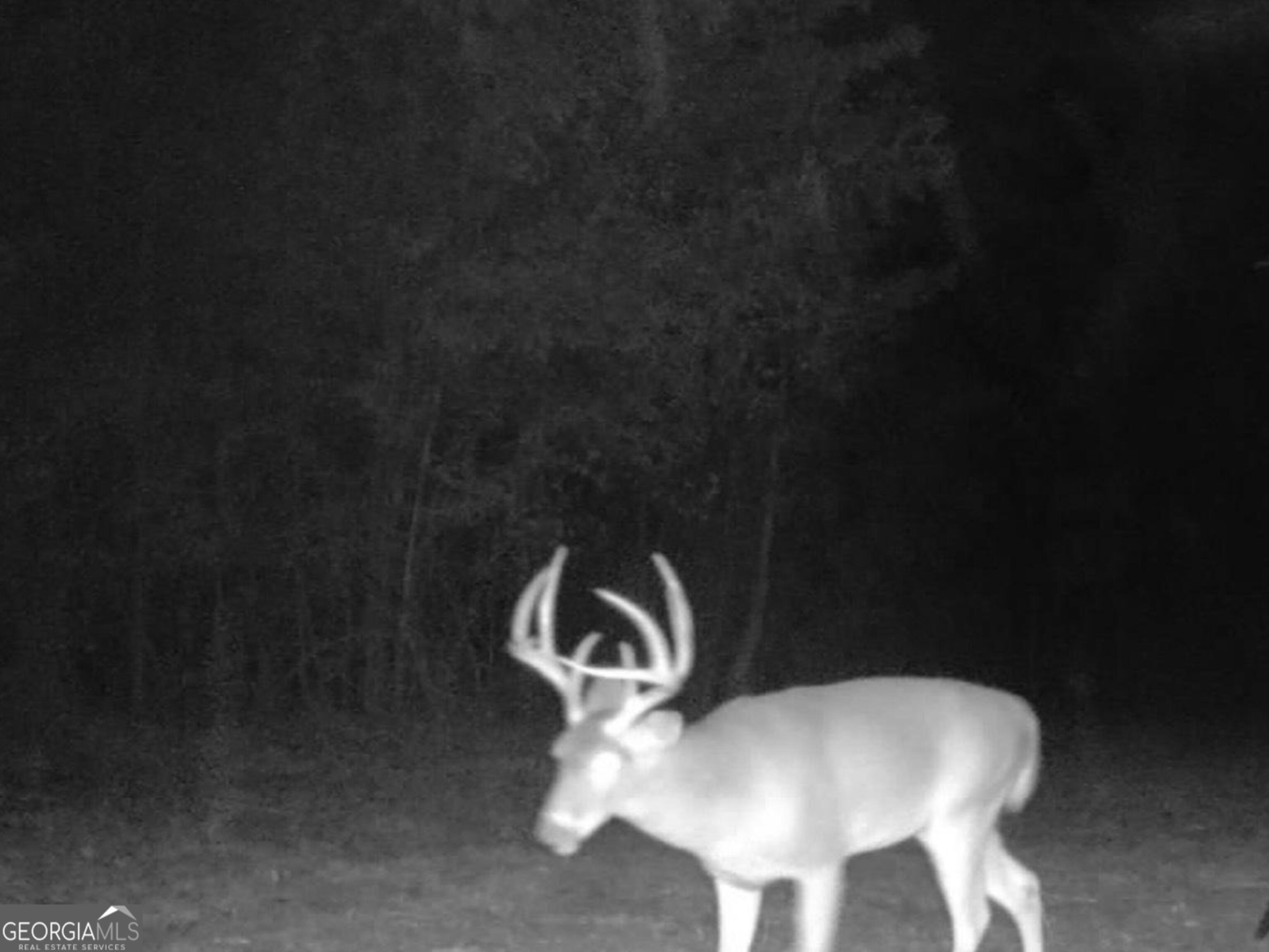 3312 Hunts Chapel Road Sparta, GA 31087 - Photo 129 of 147