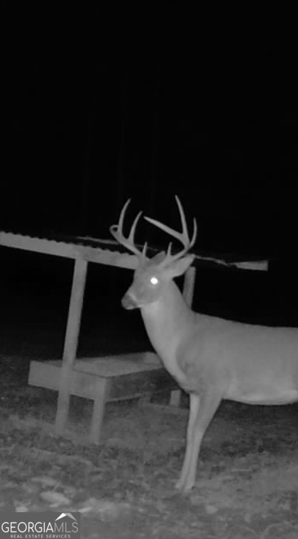 3312 Hunts Chapel Road Sparta, GA 31087 - Photo 130 of 147