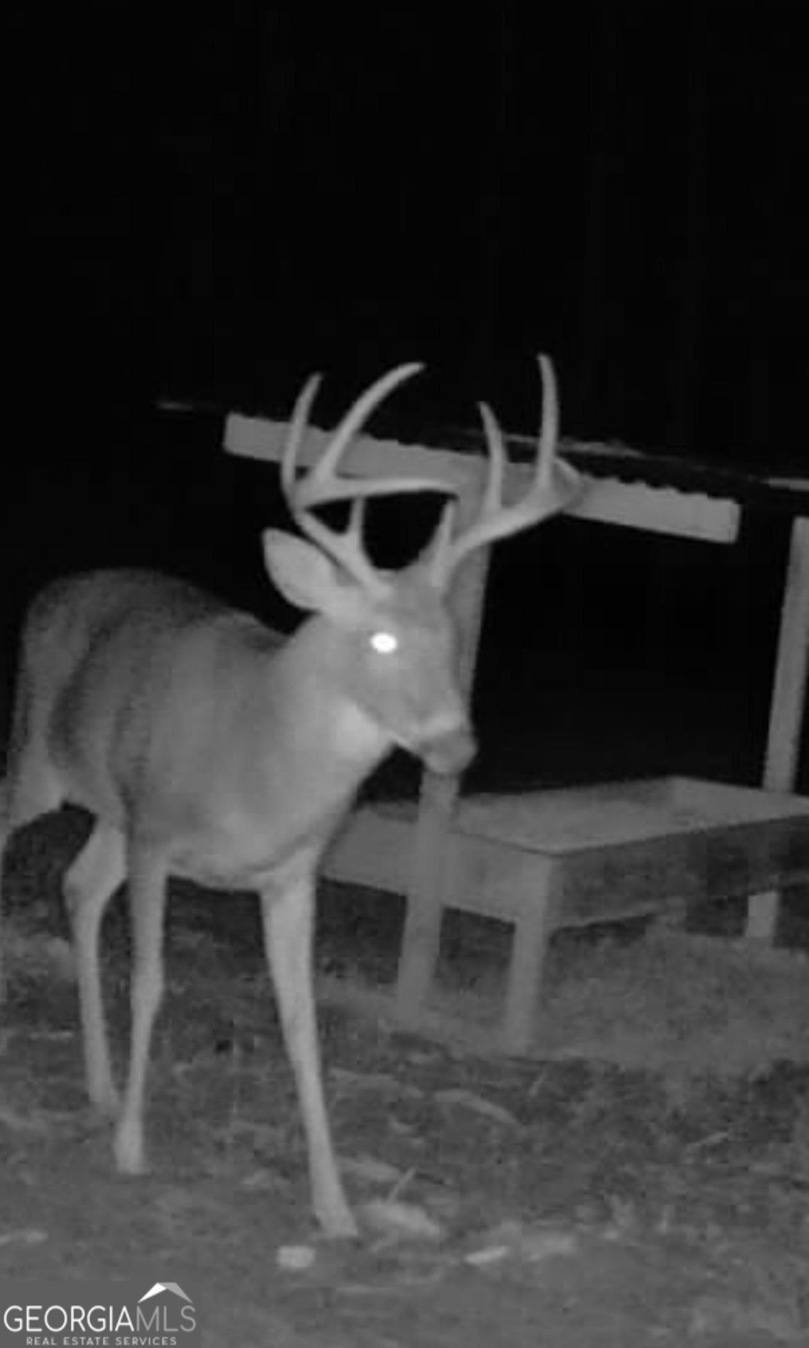 3312 Hunts Chapel Road Sparta, GA 31087 - Photo 132 of 147