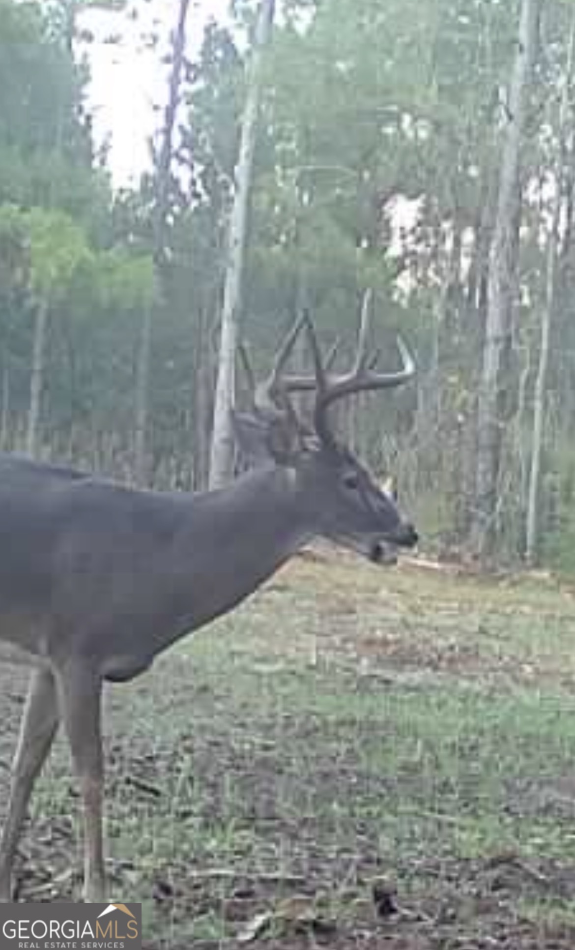 3312 Hunts Chapel Road Sparta, GA 31087 - Photo 134 of 147