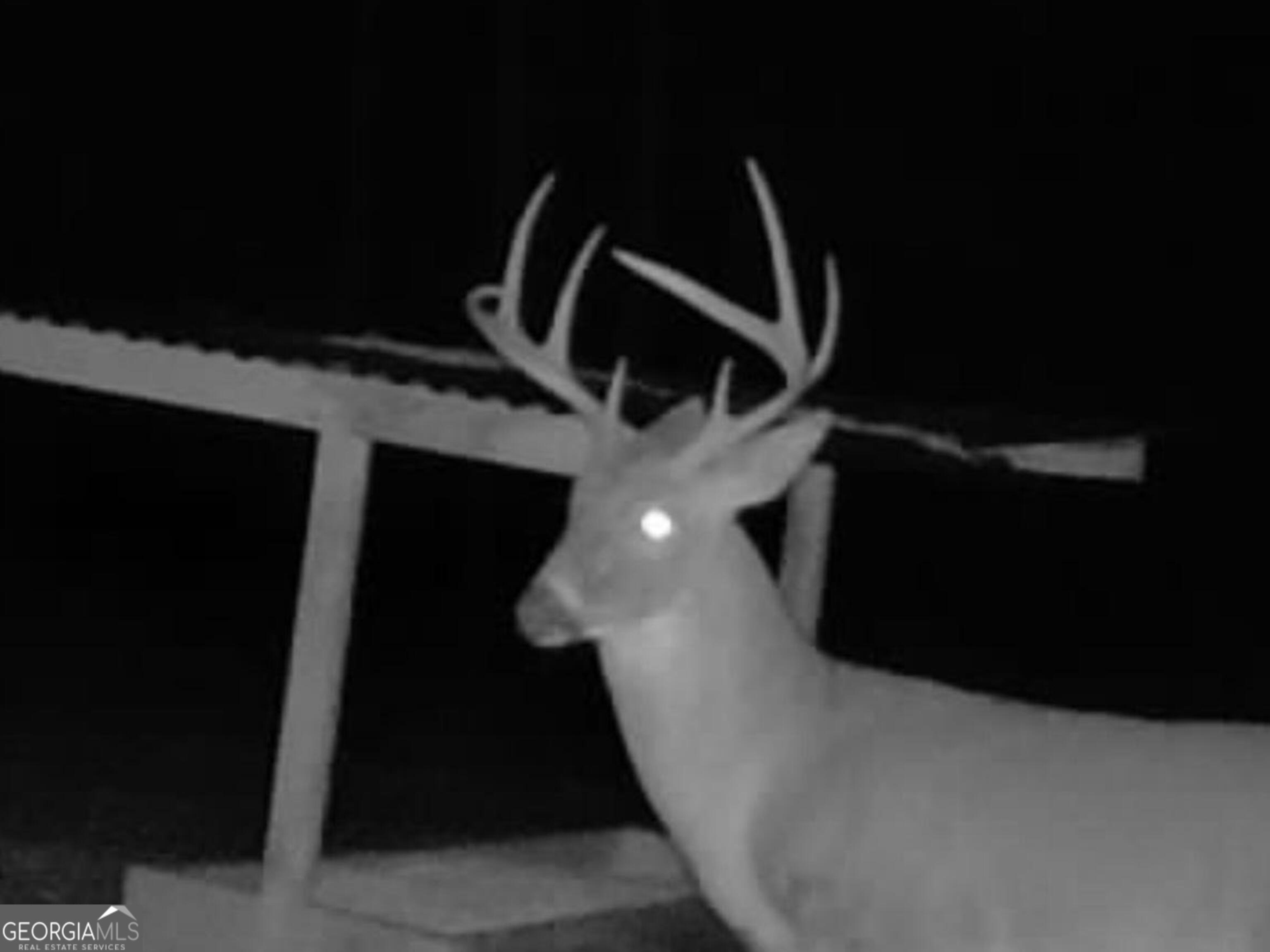 3312 Hunts Chapel Road Sparta, GA 31087 - Photo 135 of 147