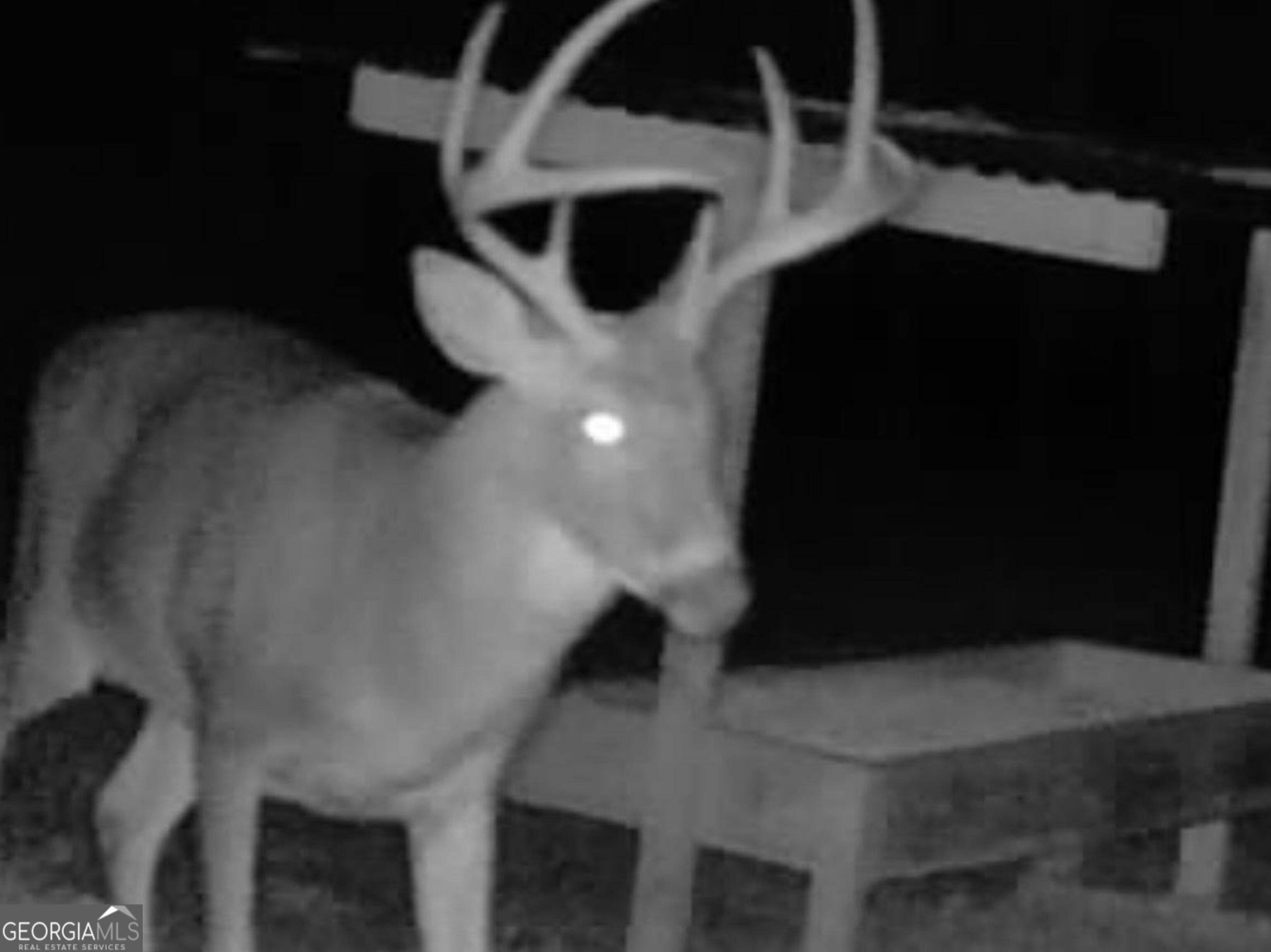 3312 Hunts Chapel Road Sparta, GA 31087 - Photo 137 of 147