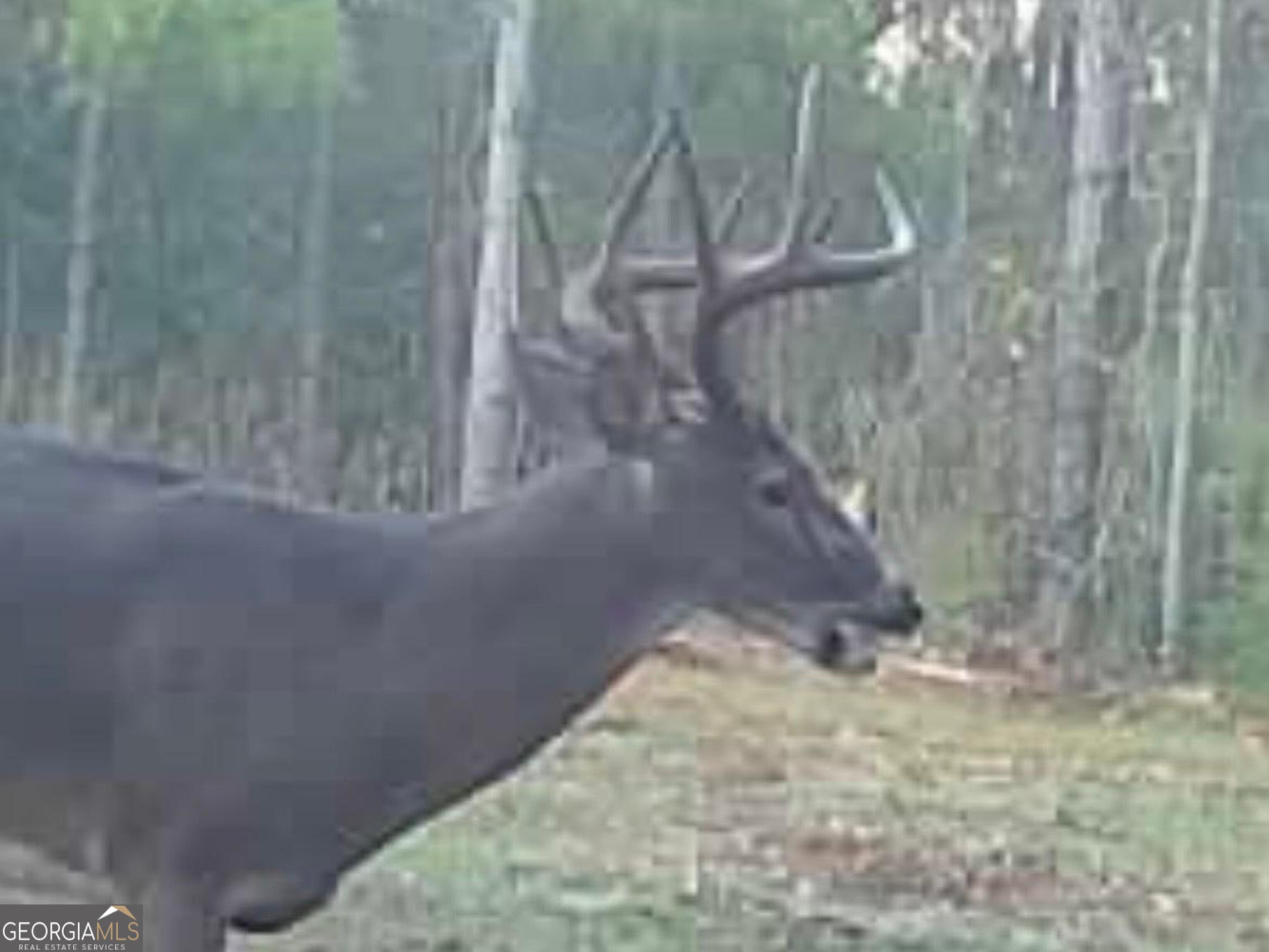 3312 Hunts Chapel Road Sparta, GA 31087 - Photo 138 of 147