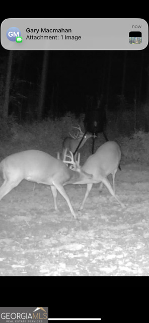 3312 Hunts Chapel Road Sparta, GA 31087 - Photo 139 of 147