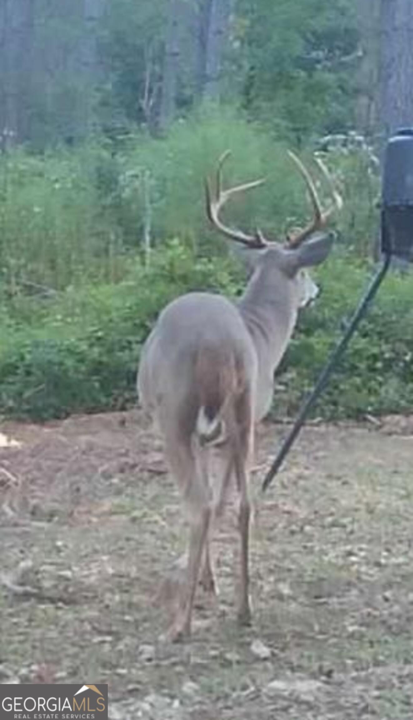 3312 Hunts Chapel Road Sparta, GA 31087 - Photo 140 of 147