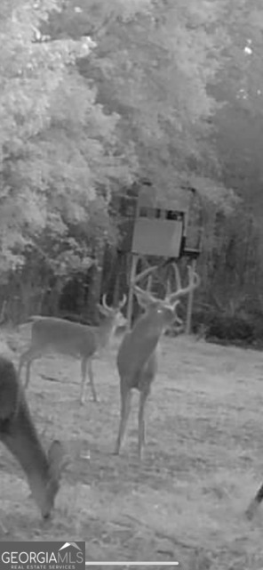 3312 Hunts Chapel Road Sparta, GA 31087 - Photo 142 of 147