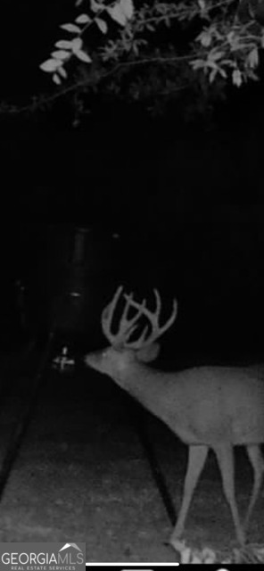 3312 Hunts Chapel Road Sparta, GA 31087 - Photo 143 of 147