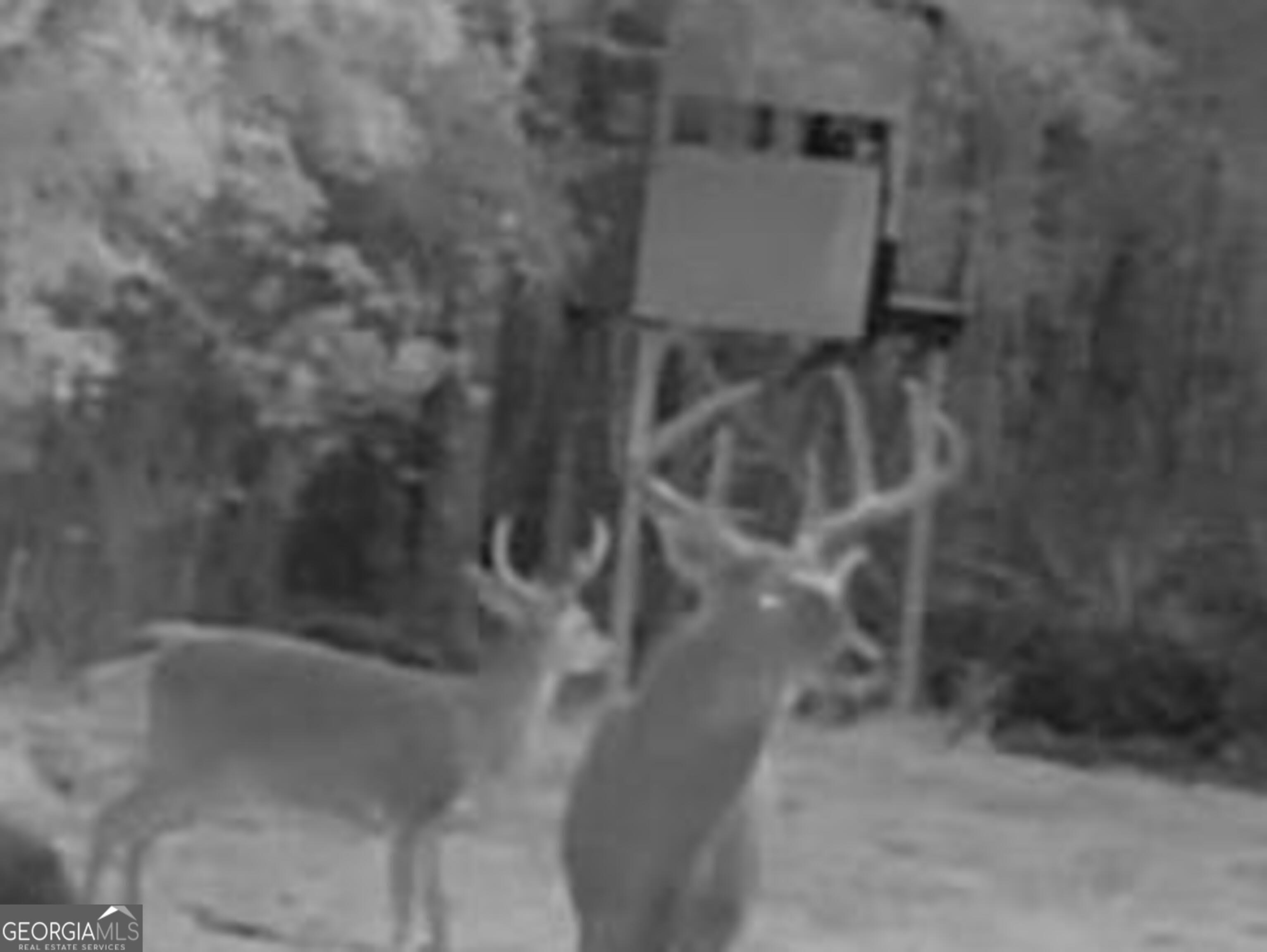 3312 Hunts Chapel Road Sparta, GA 31087 - Photo 144 of 147