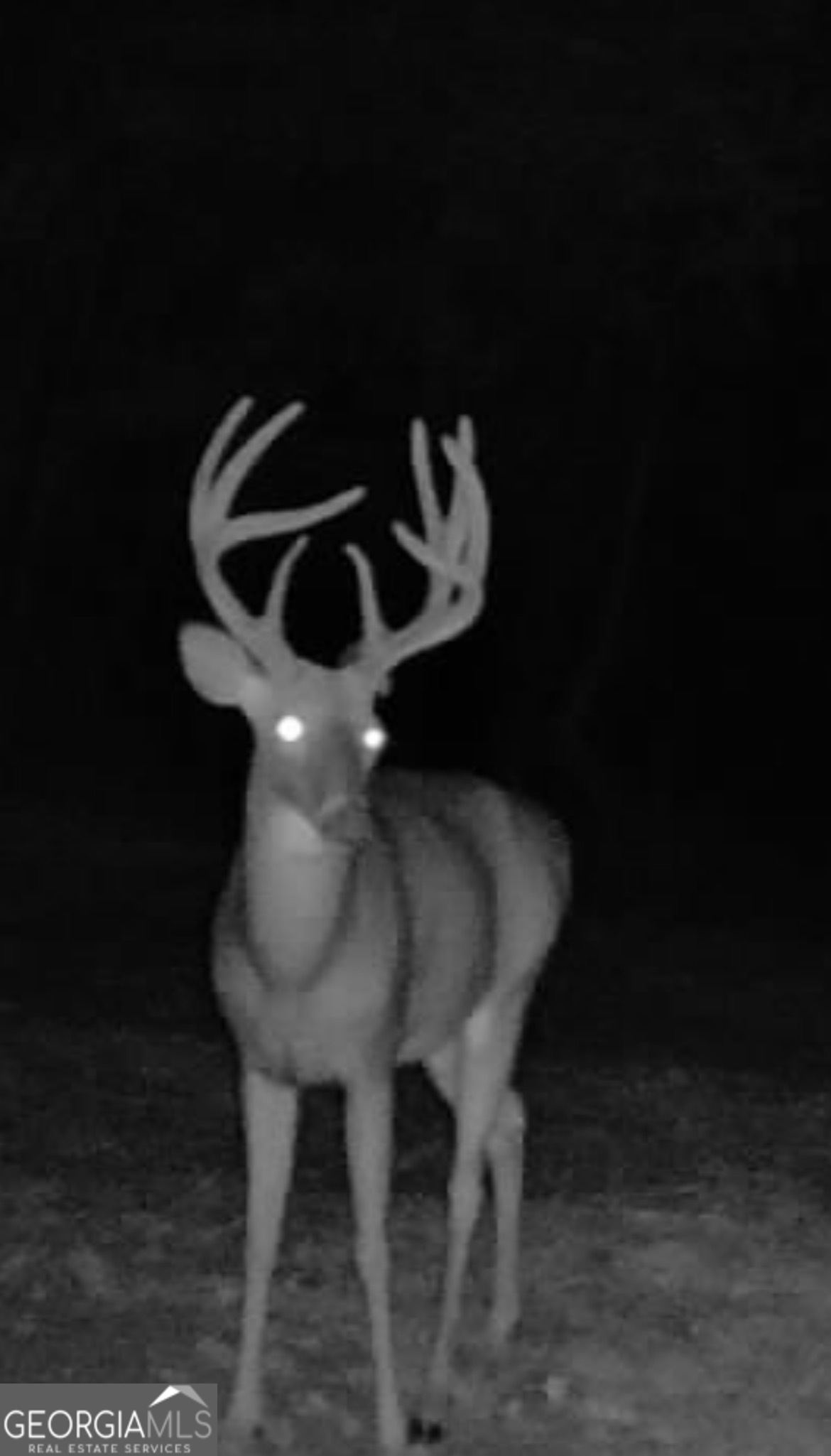 3312 Hunts Chapel Road Sparta, GA 31087 - Photo 145 of 147