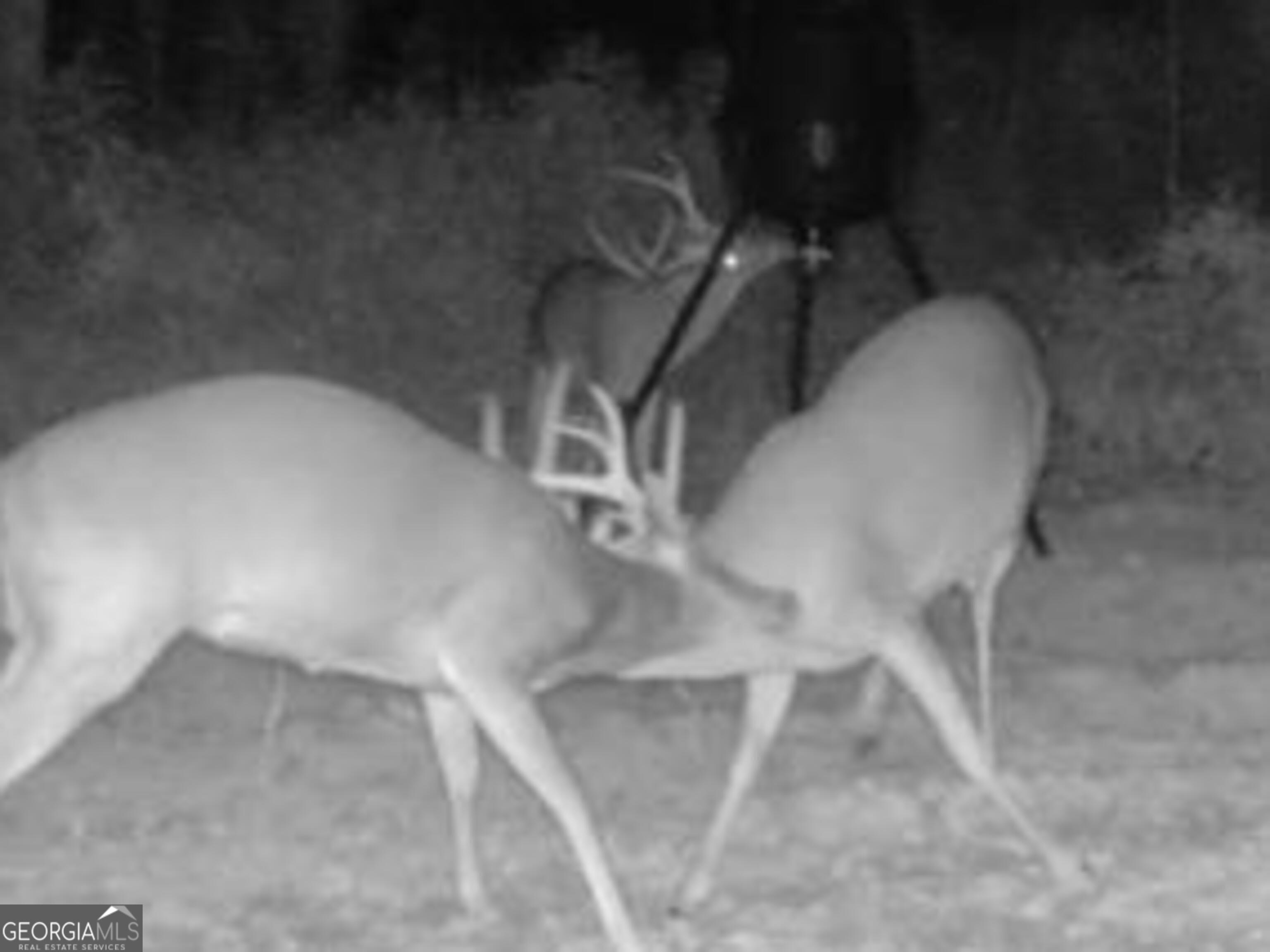 3312 Hunts Chapel Road Sparta, GA 31087 - Photo 146 of 147