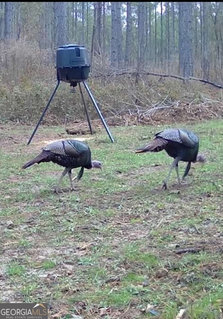 3312 Hunts Chapel Road Sparta, GA 31087 - Photo 17 of 147