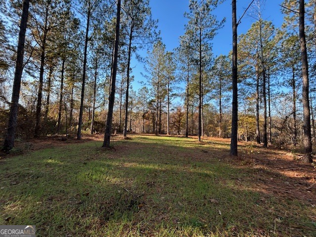 3312 Hunts Chapel Road Sparta, GA 31087 - Photo 20 of 147