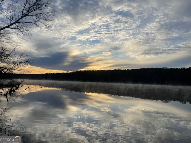 3312 Hunts Chapel Road Sparta, GA 31087 - Photo 2 of 147